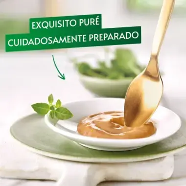 Gourmet Nature`s Creations Pure con Salmon - Imagen 2