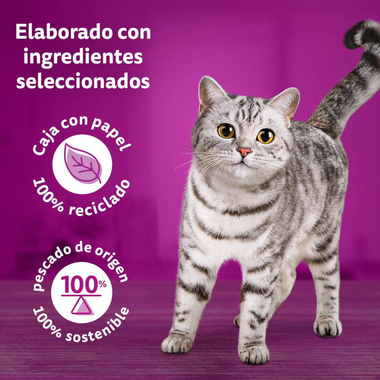Whiskas Duo Mar y Montaña en Gelatina - Imagen 3