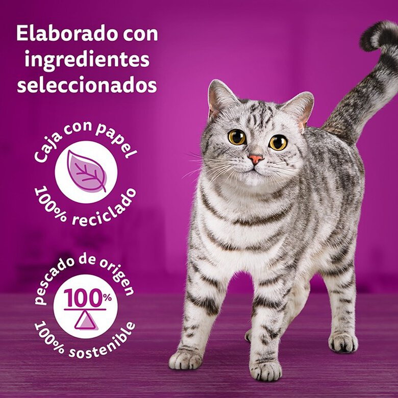Whiskas Pure Delight Aves de Corral en Gelatina - Imagen 5