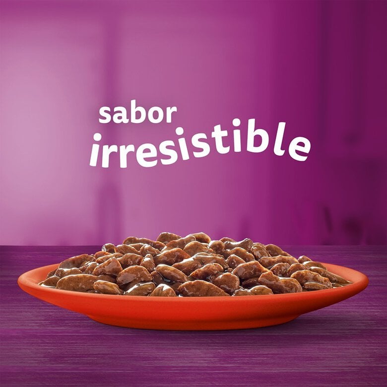 Whiskas Selección Clásicos en Salsa - Imagen 2