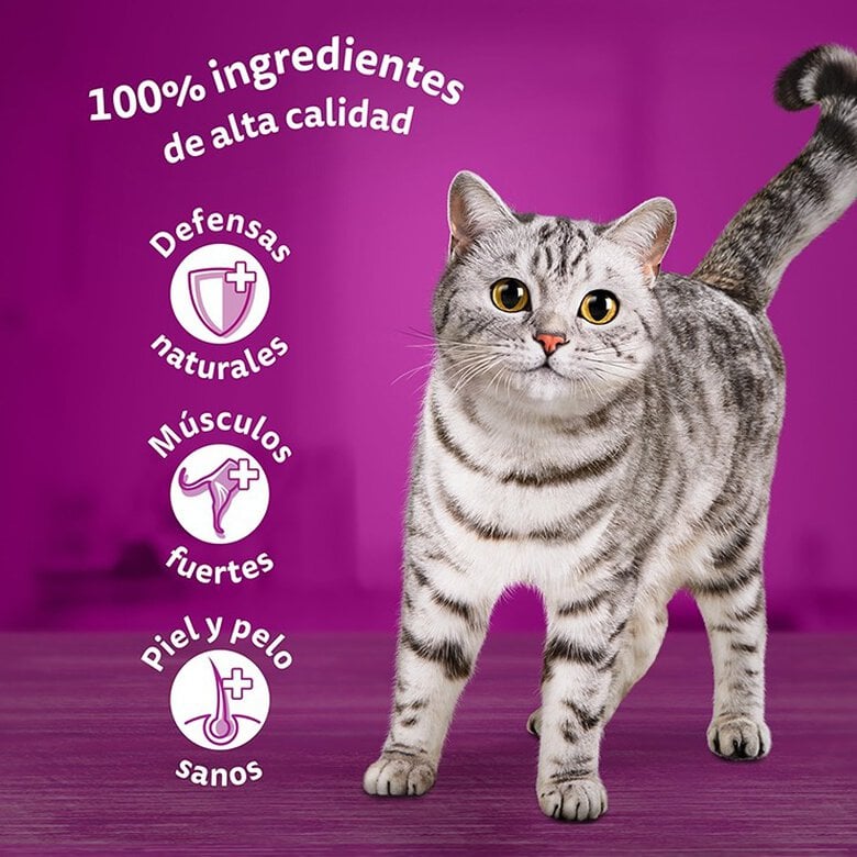 Whiskas Selección Clásicos en Salsa - Imagen 5