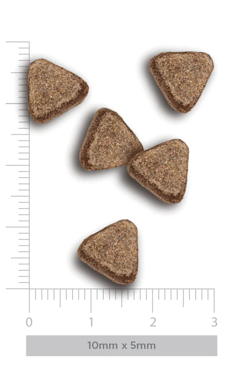 Amanova Sterilised - Fish Delicacy Grain Free - Imagen 2