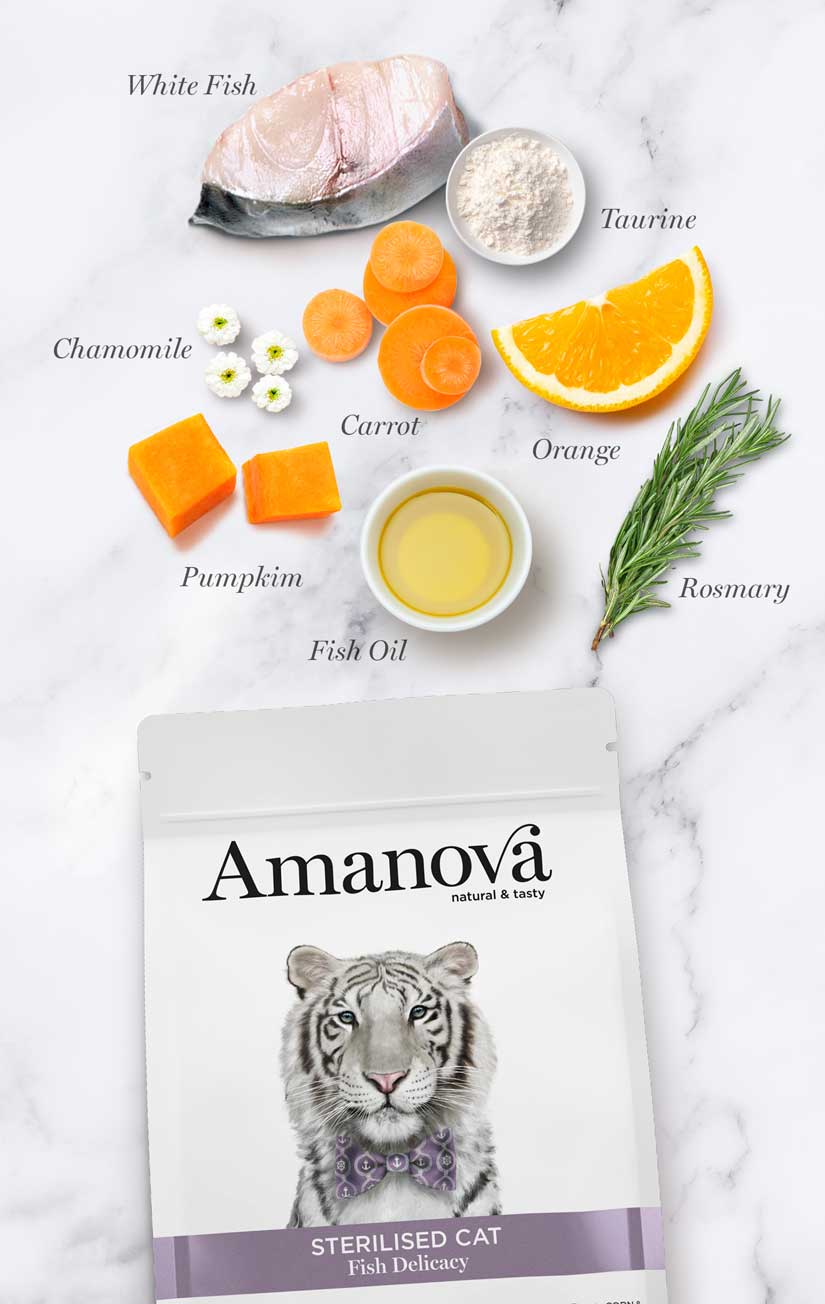 Amanova Sterilised - Fish Delicacy Grain Free - Imagen 4