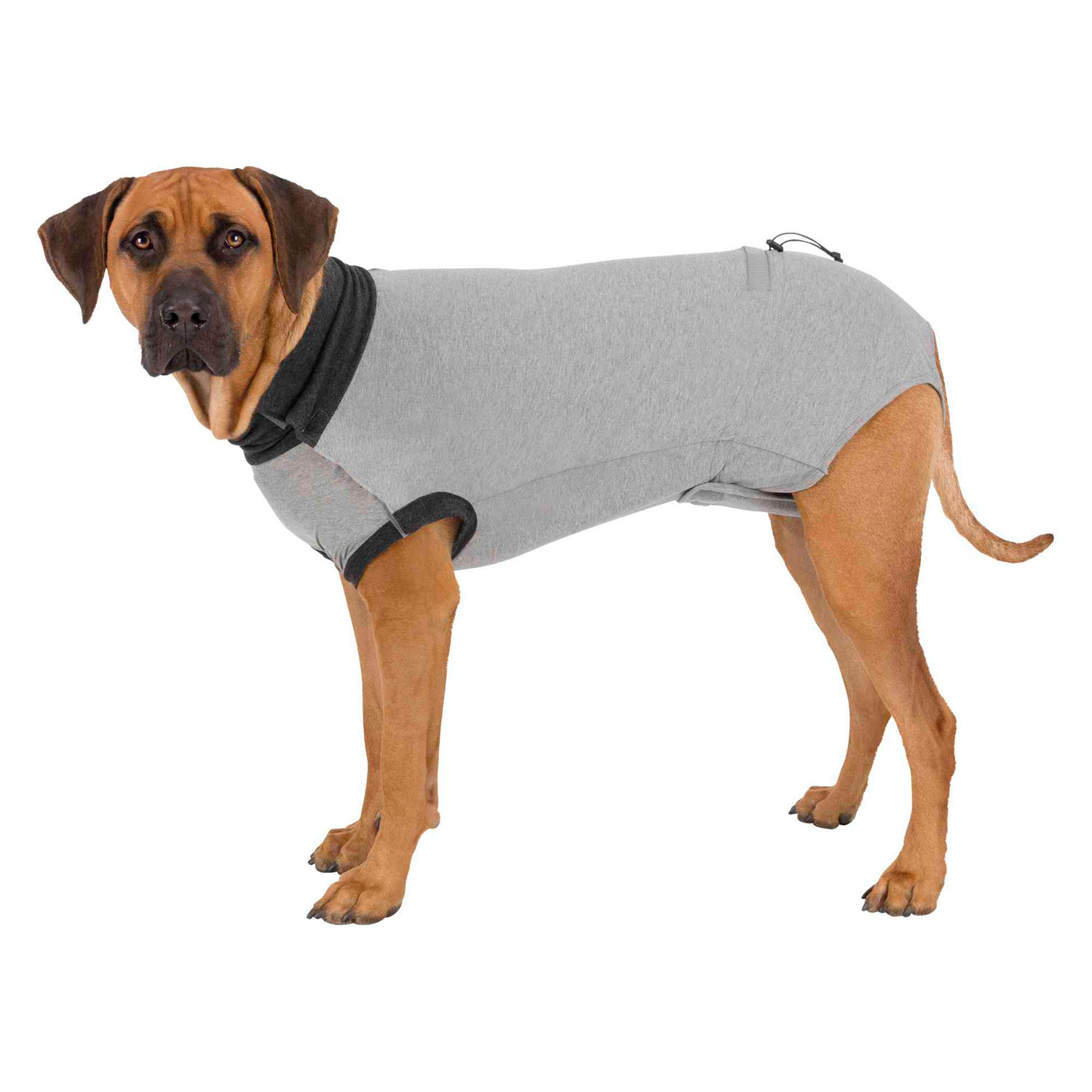 Trixie Body Protector Perros - Imagen 2